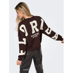 ONLY ONLSWEAT BACK/SLEEVE PRINT WINE