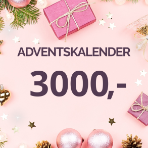 ADVENTS-KALENDER 3000,-