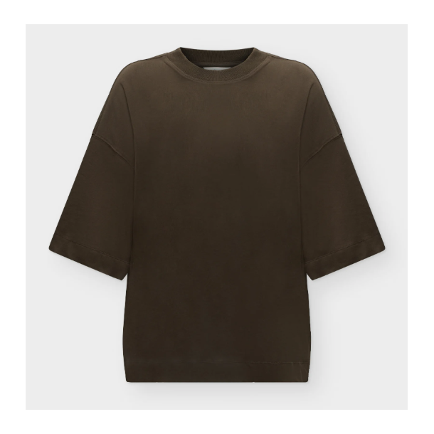 SELECTED FEMME SLWCOL WOMAN OVERSIZE TEE BROWN