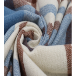 JENNY SCRAF BLUE CHECK