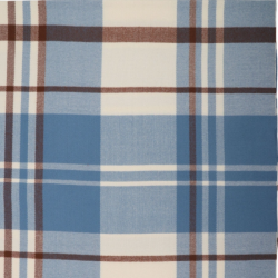 JENNY SCRAF BLUE CHECK