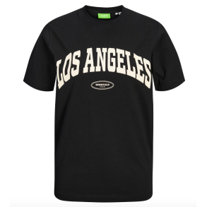 JJXX JXMERLE REG TEE BLACK 