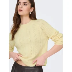 JACQUELINE de YONG JDYAPRIL O-NECK PULLOVER PASTEL YELLOW